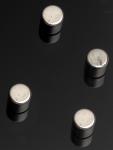 Cylinder vorm rvs kleurige magneten 4 stuks, supersterk