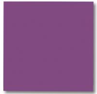 Glassboard Purple 100x100cm